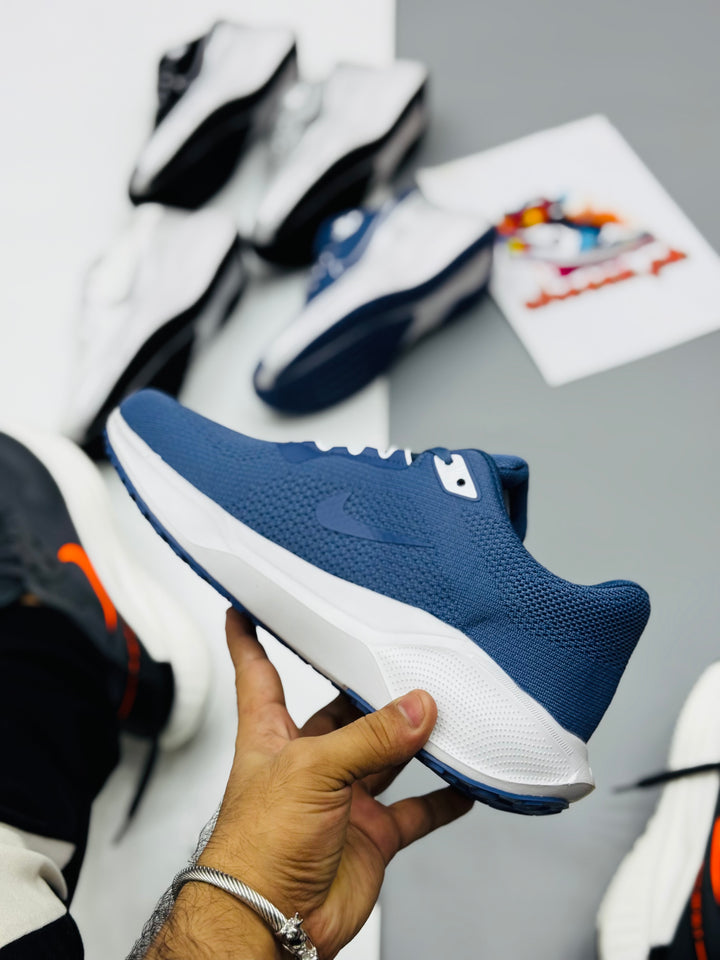 Nke air Pegasus (blue36)