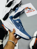Nke air Pegasus (blue36)