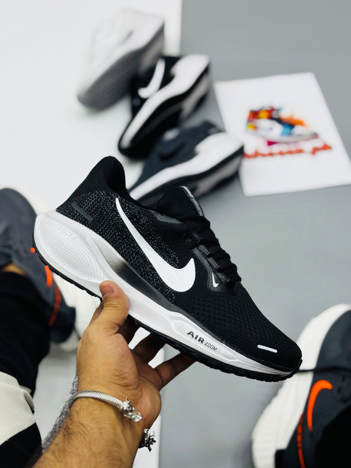 Nke Pegasus air zoom (bw)